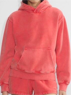 Aritzia Faded Sun-faded Cherry Red Sweatfleece Perfect Hoodie AMAZING CONDITION